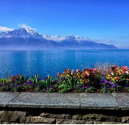 Flat Apartment Lausanne